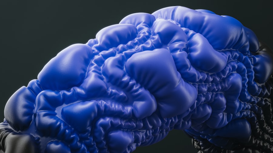brain, threat patterns