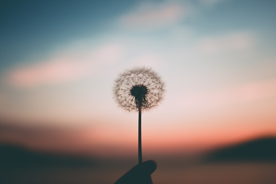 peace