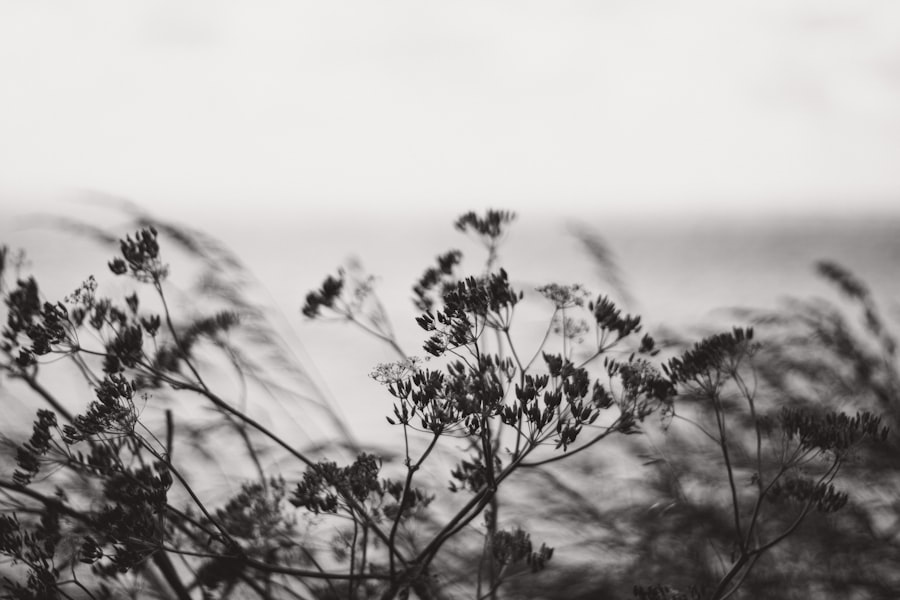 Photo quiet