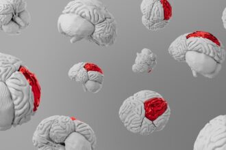 Photo brain learns safety trauma