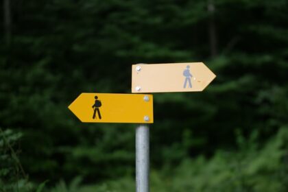 Photo decision