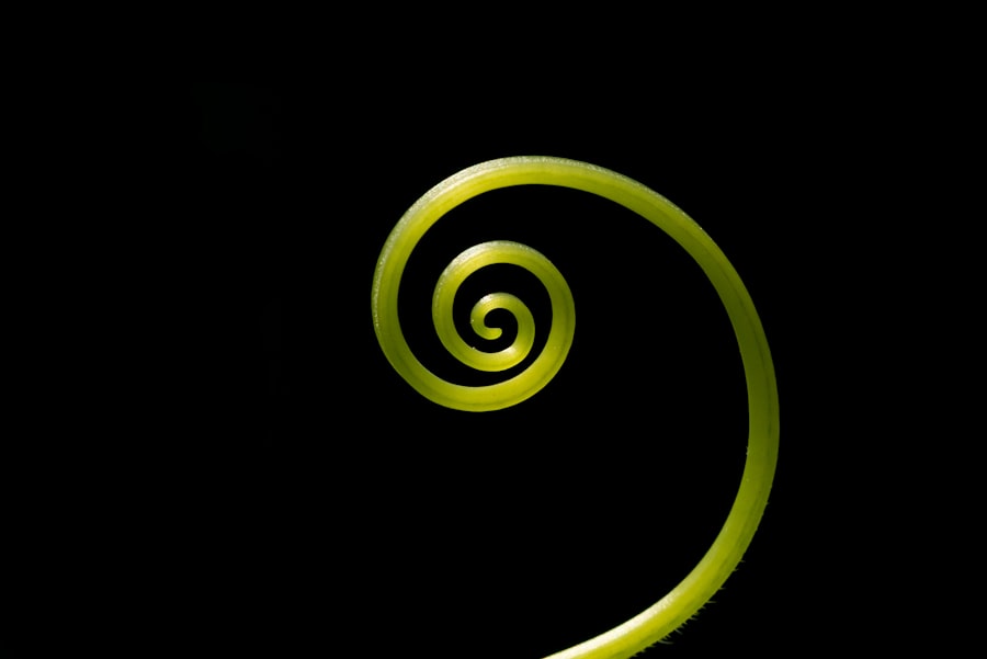 Photo spiral