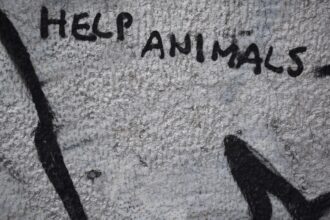 Photo accept help