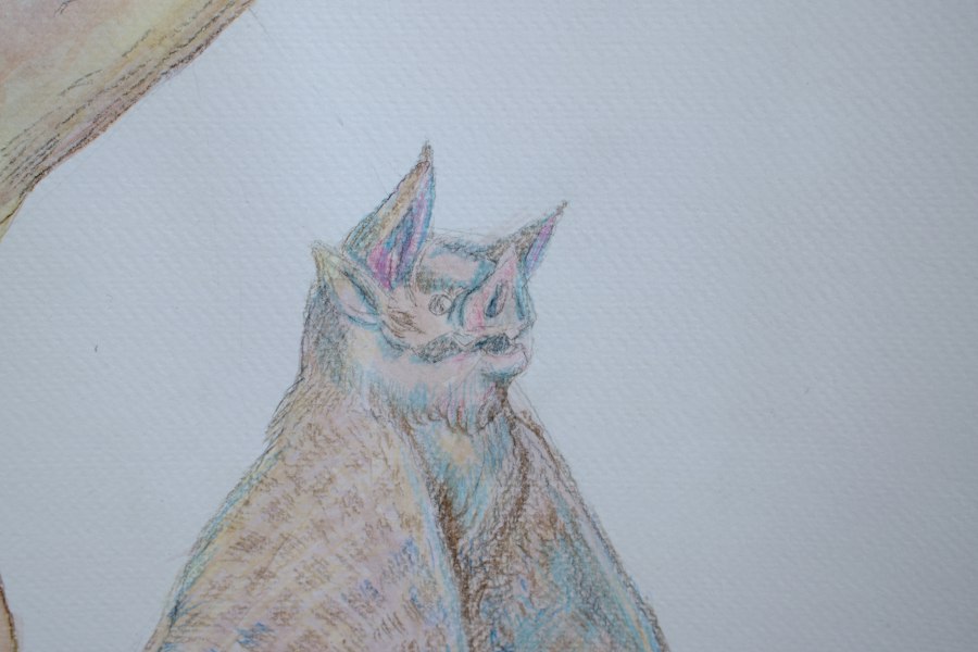 Monster Study