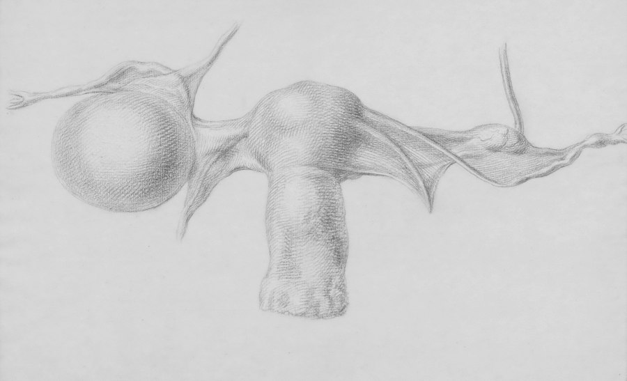 Monster Study