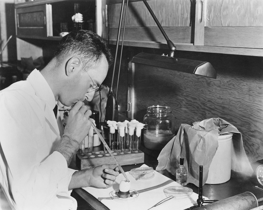 Little Albert experiment