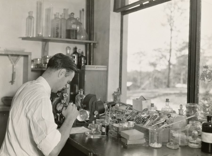 Little Albert experiment