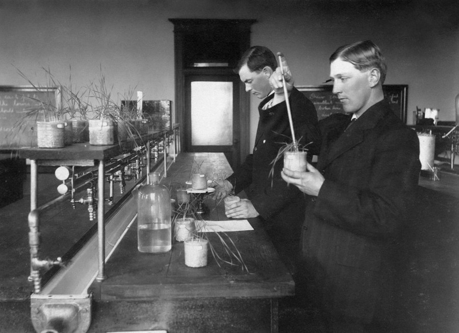Little Albert experiment
