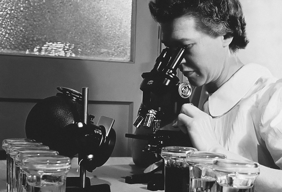 Little Albert experiment footage