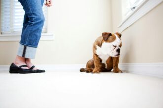 Photo obedience psychology