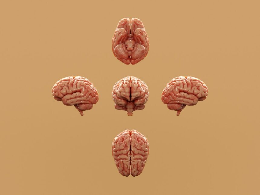 Photo social psychology