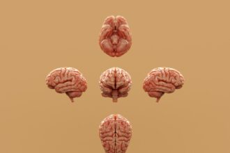 Photo social psychology experiment