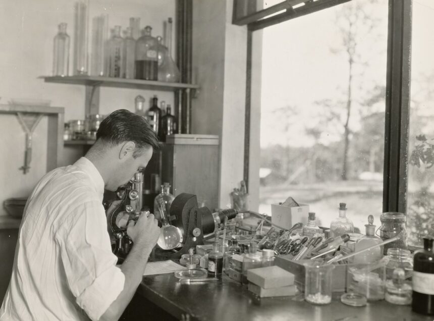 Photo Little Albert experiment
