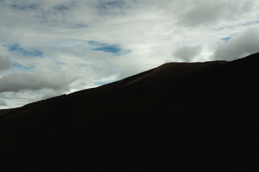 Photo ruminating