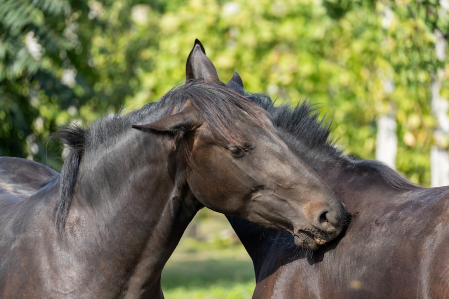 Photo stable relationships