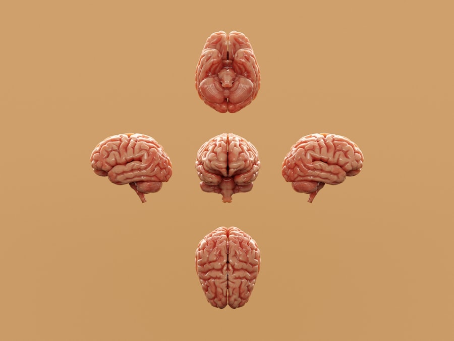 Photo psychology