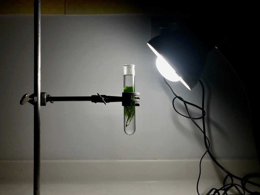 Photo Kaczynski Murray experiment