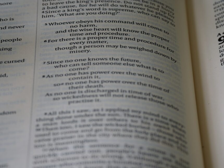 Photo internalize criticism