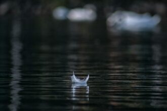 Photo silence