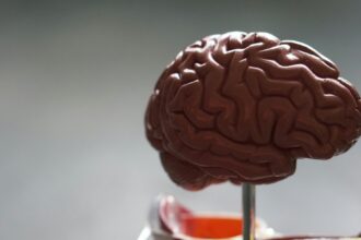 Photo brain