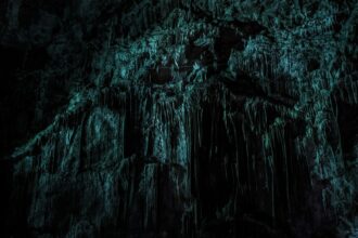 Photo Robbers Cave experiment documentary