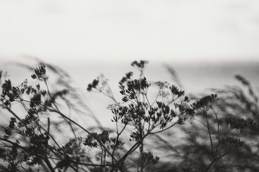 Photo silence