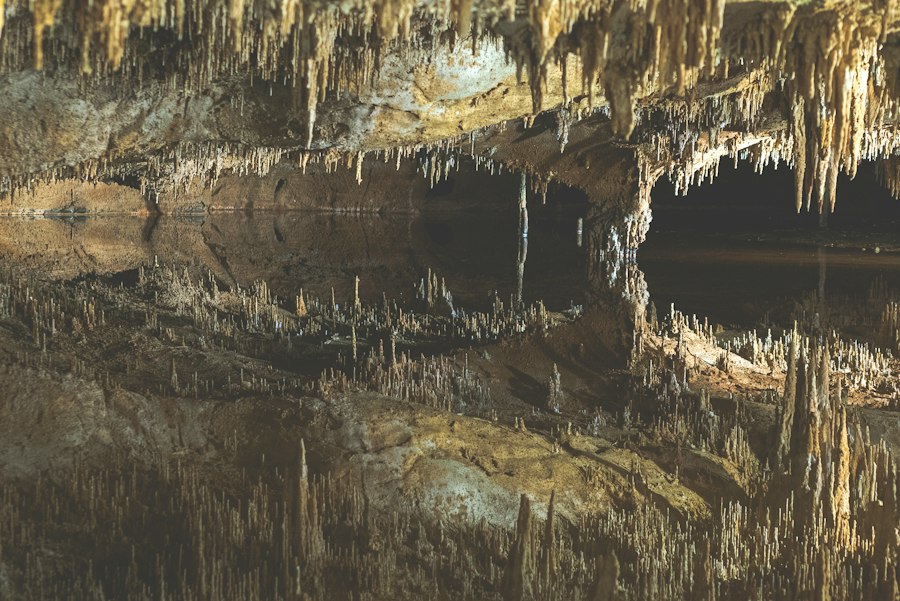 Robbers Cave experiment