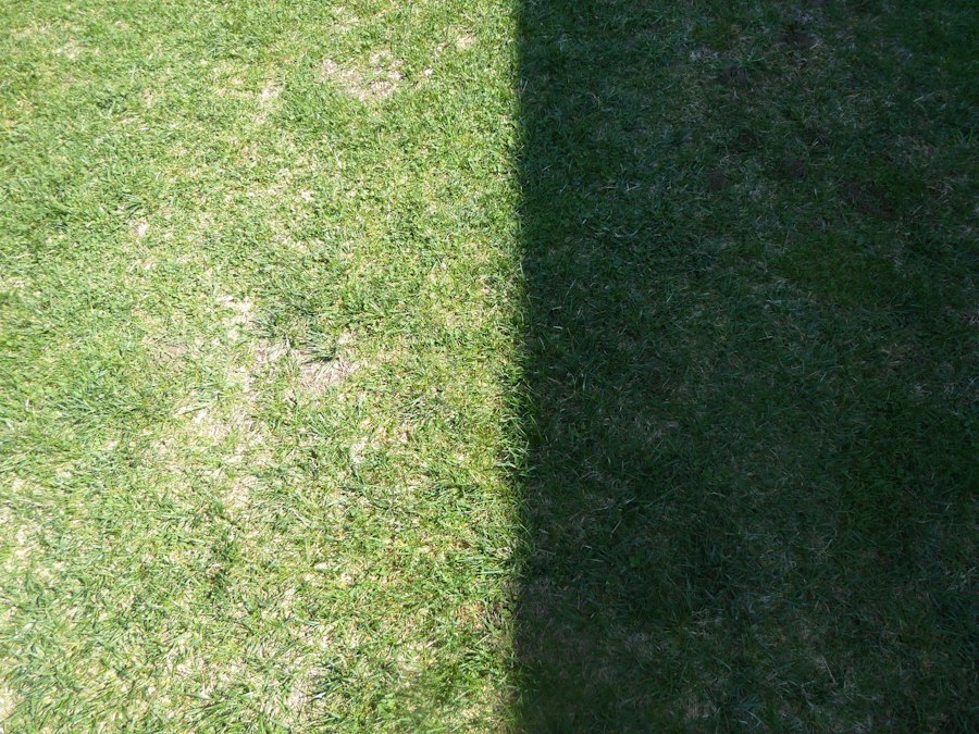 Photo separate