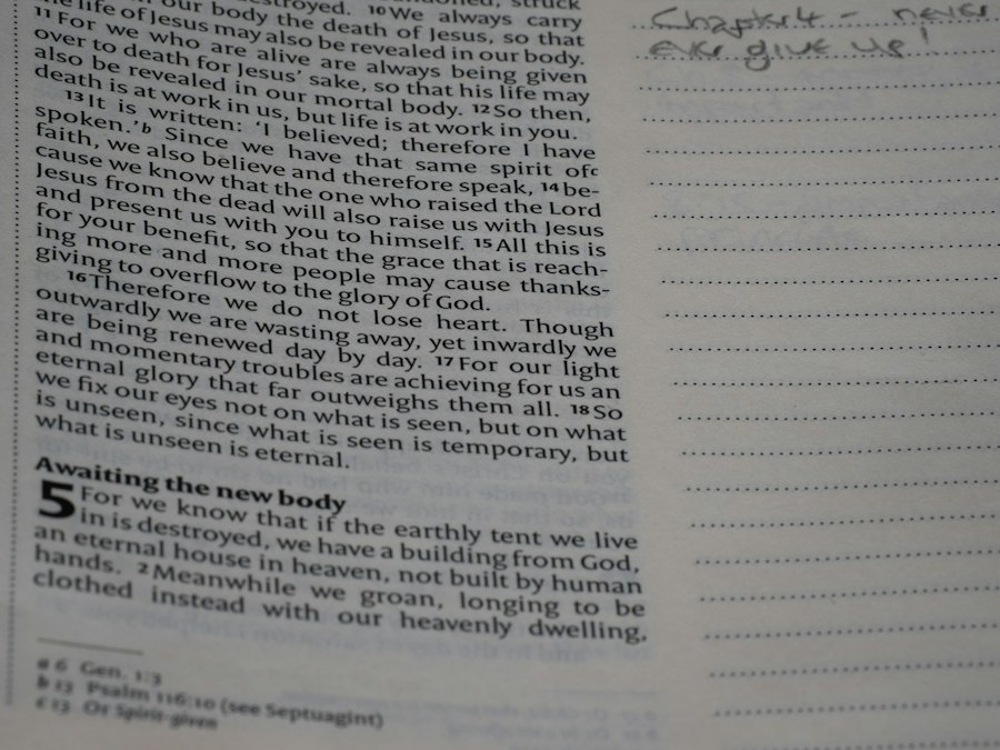 Photo Pygmalion effect study flaws