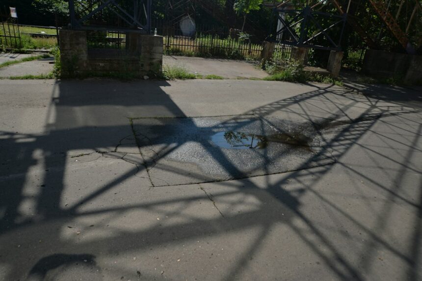 Photo rat park experiment procedural differences