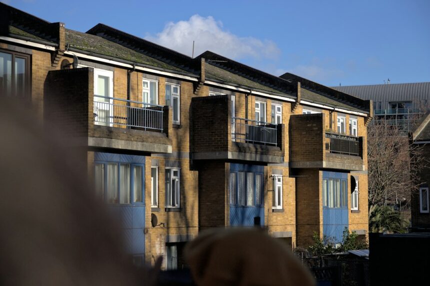Photo rat park social housing effects