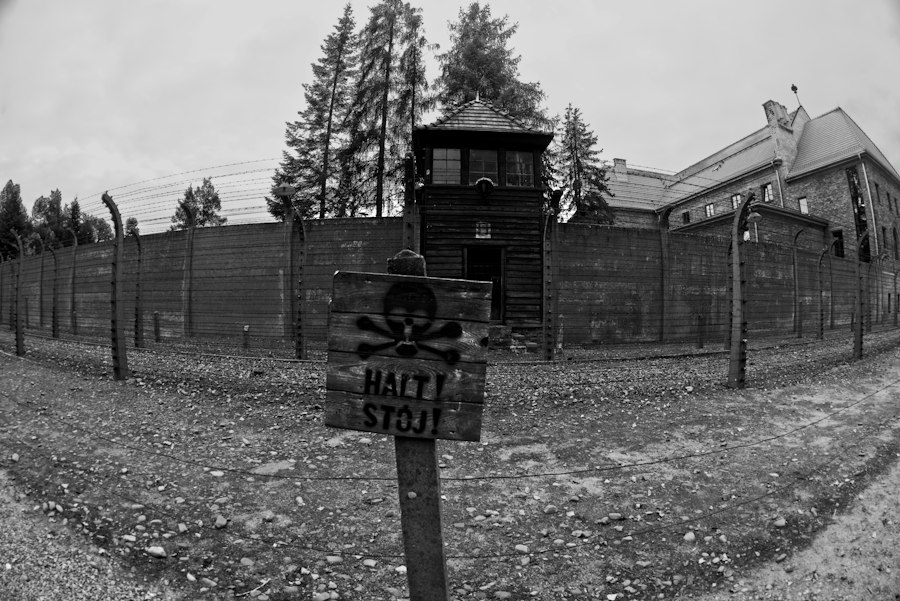 rat park experiment housing history