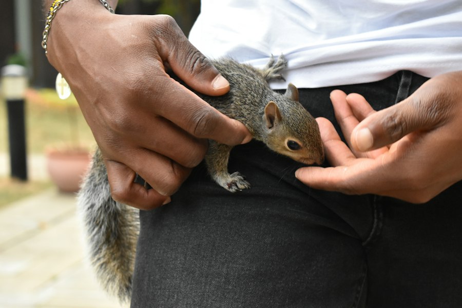 Rat Park addiction study results