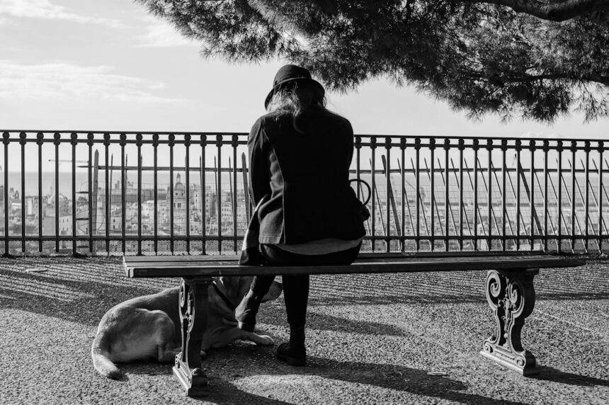 Photo rat park addiction study criticism