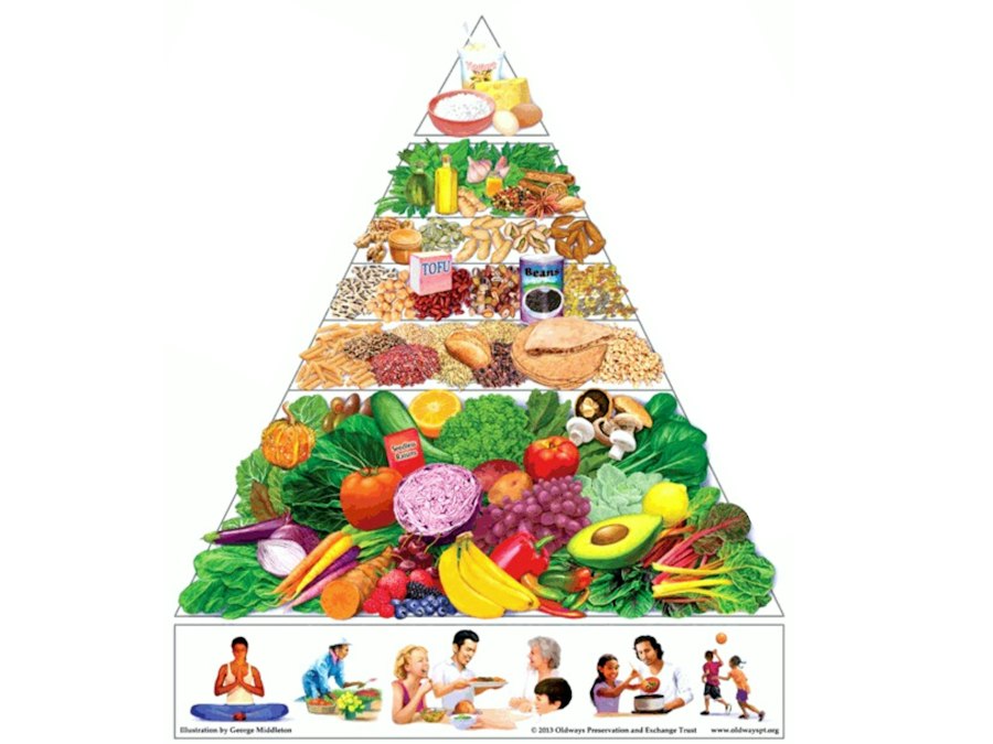 addiction multifactorial causes diagram