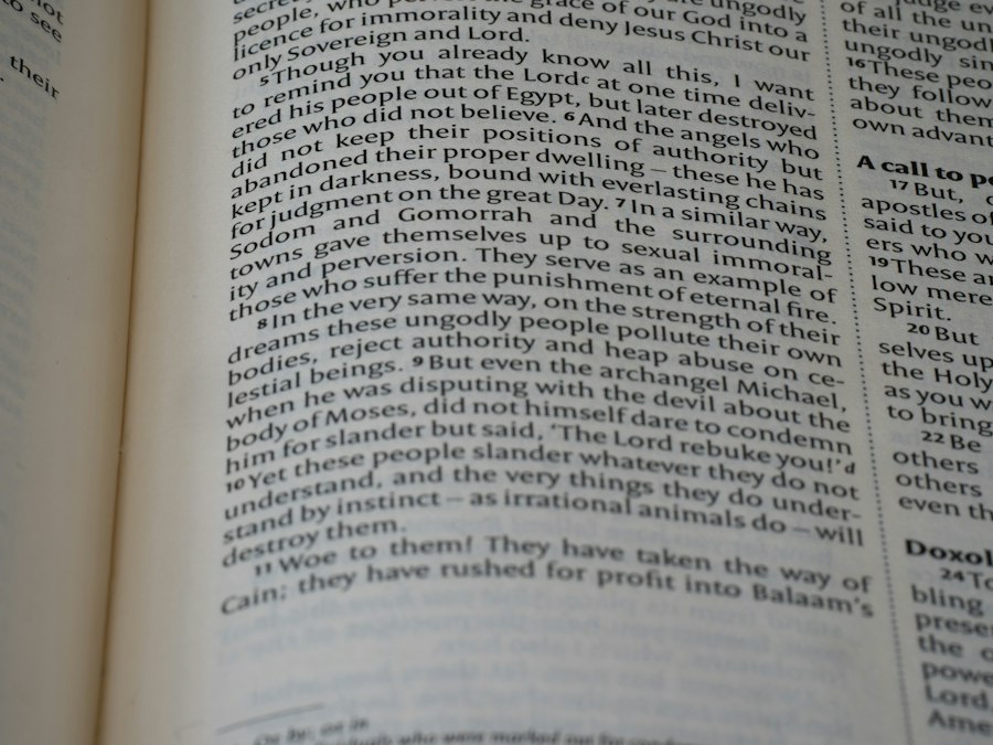 Photo attachment theory history research