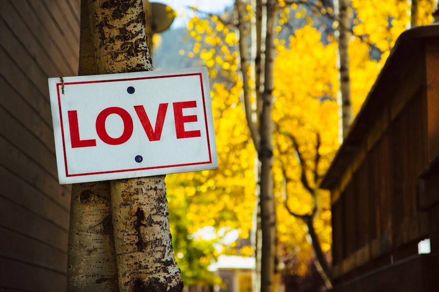 cupboard love theory psychology