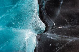 Photo freeze response emergency psychology