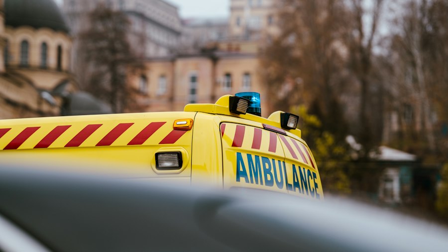 freeze response emergency psychology