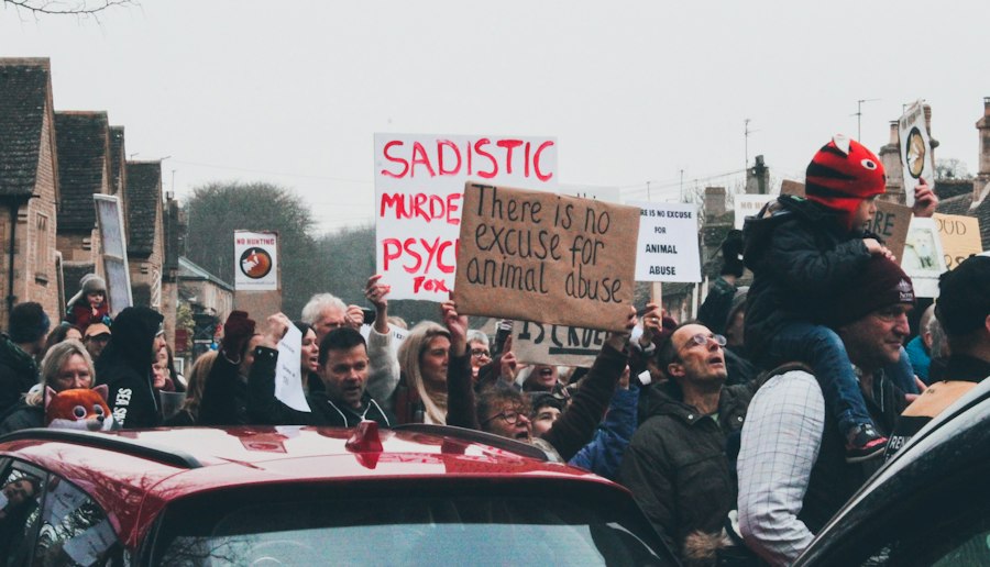 bystander effect psychology