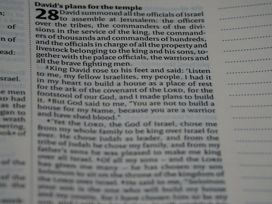 Photo 38 witnesses eyewitness testimony