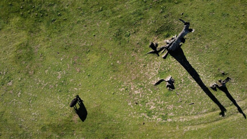 Photo military aerial ufo photography