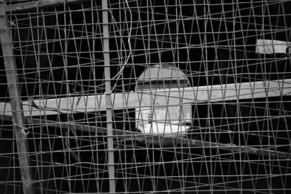 Photo CIA UFO panel 1953 investigation
