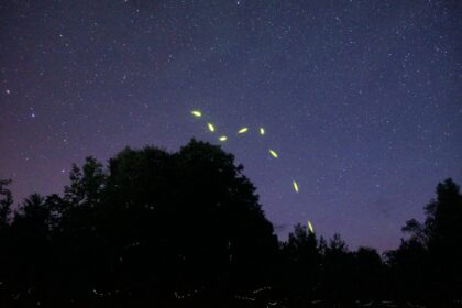 Photo Five Mile Assumption UFO footage