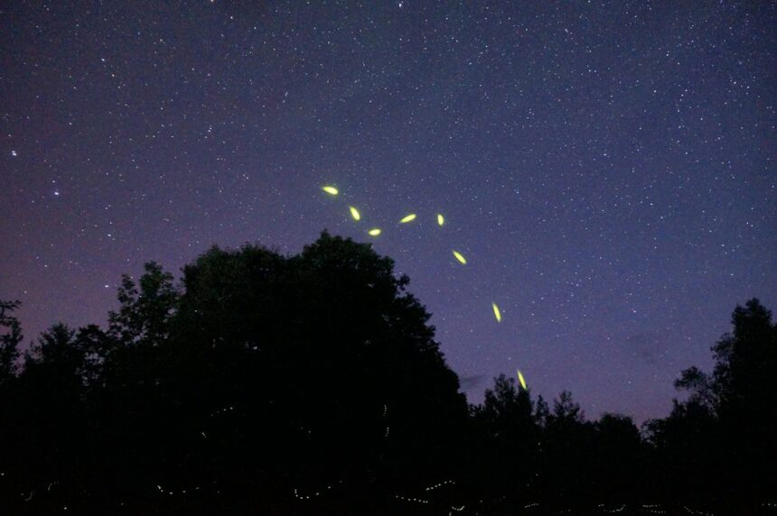 Photo Five Mile Assumption UFO footage