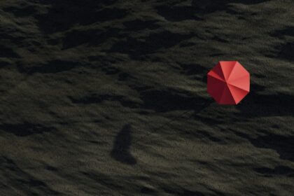 Photo UFO cover-up evidence analysis