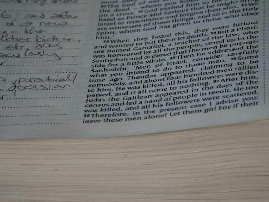 Photo Rosenhan experiment fraud allegations