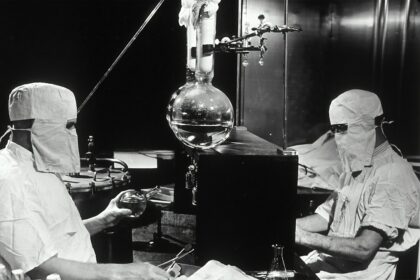 Photo Rosenhan experiment Harry Lando psychology