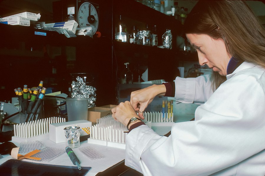 Rosenhan study experiment methods