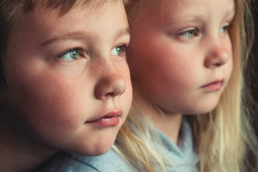 Photo parentification sibling dynamics psychology